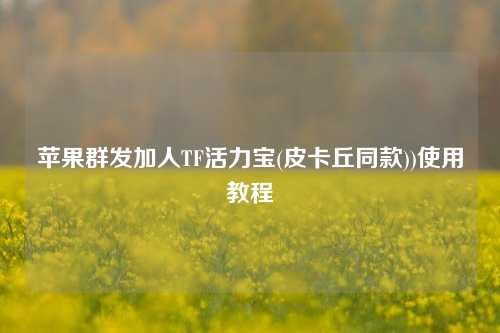 苹果群发加人TF活力宝(皮卡丘同款))使用教程