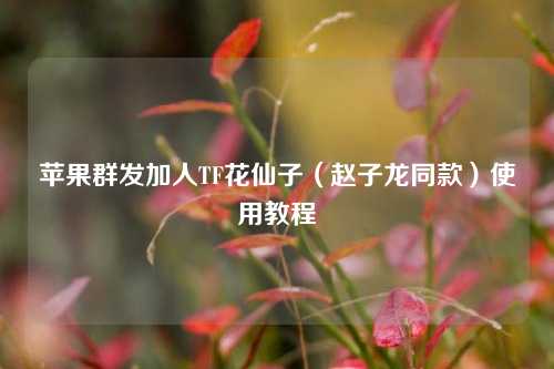 苹果群发加人TF花仙子（赵子龙同款）使用教程