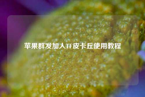 苹果群发加人TF皮卡丘使用教程