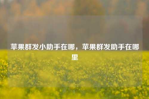 苹果群发小助手在哪，苹果群发助手在哪里