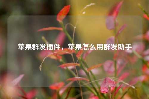 苹果群发插件，苹果怎么用群发助手