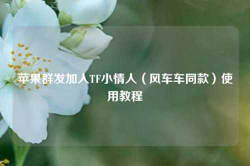 苹果群发加人TF小情人（风车车同款）使用教程