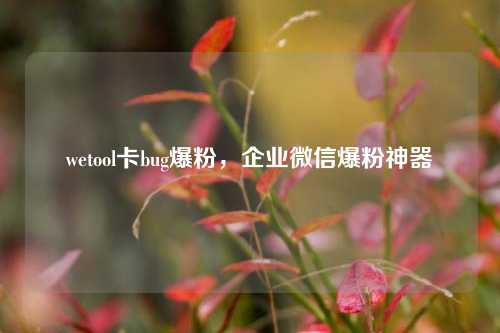 wetool卡bug爆粉，企业微信爆粉神器