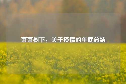 萧萧树下，关于疫情的年底总结