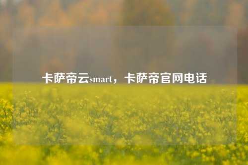 卡萨帝云smart，卡萨帝官网电话