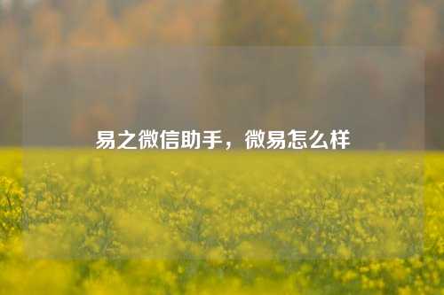 易之微信助手，微易怎么样