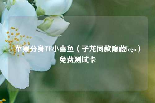 苹果分身TF小喜鱼（子龙同款隐藏logo）免费测试卡