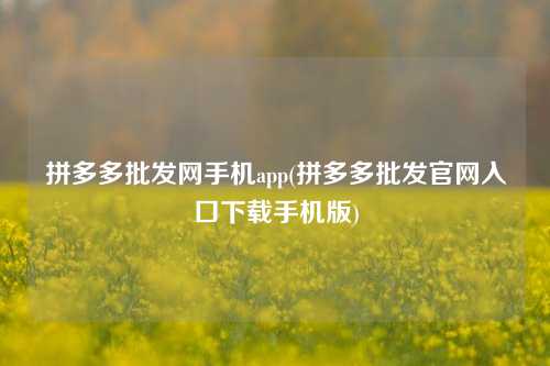 拼多多批发网手机app(拼多多批发官网入口下载手机版)