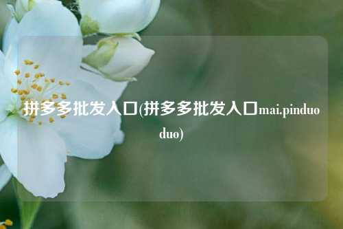 拼多多批发入口(拼多多批发入口mai.pinduoduo)