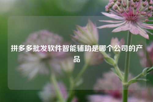 拼多多批发软件智能辅助是哪个公司的产品