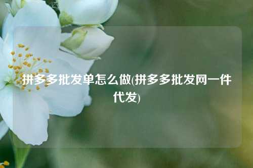 拼多多批发单怎么做(拼多多批发网一件代发)