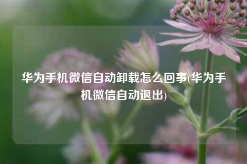 华为手机微信自动卸载怎么回事(华为手机微信自动退出)