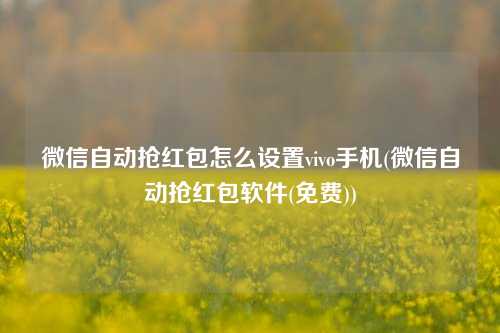 微信自动抢红包怎么设置vivo手机(微信自动抢红包软件(免费))