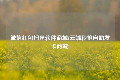 微信红包扫尾软件商城(云端秒抢自助发卡商城)