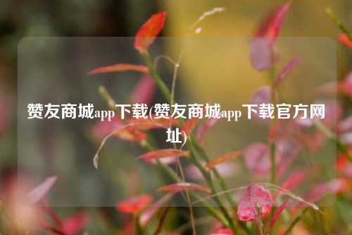 赞友商城app下载(赞友商城app下载官方网址)