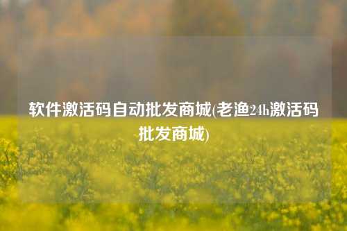 软件激活码自动批发商城(老渔24h激活码批发商城)