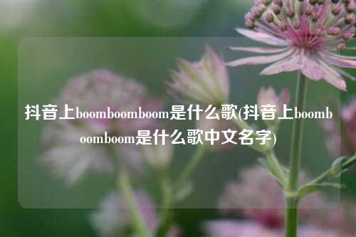 抖音上boomboomboom是什么歌(抖音上boomboomboom是什么歌中文名字)