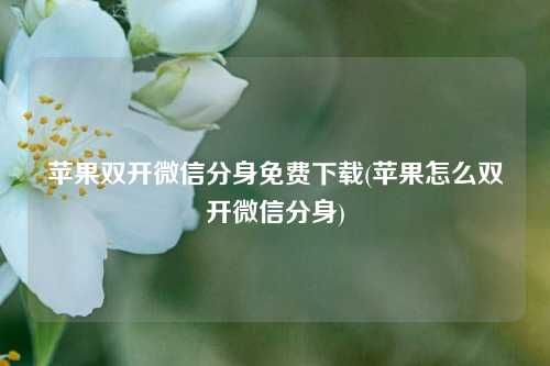 苹果双开微信分身免费下载(苹果怎么双开微信分身)