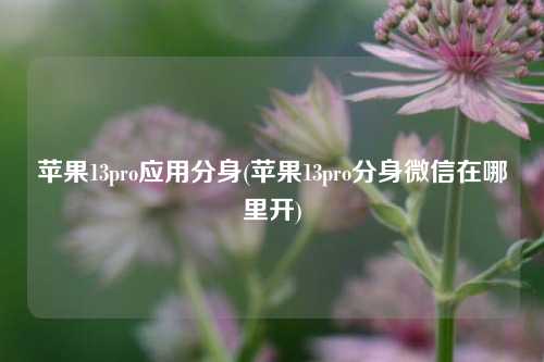 苹果13pro应用分身(苹果13pro分身微信在哪里开)