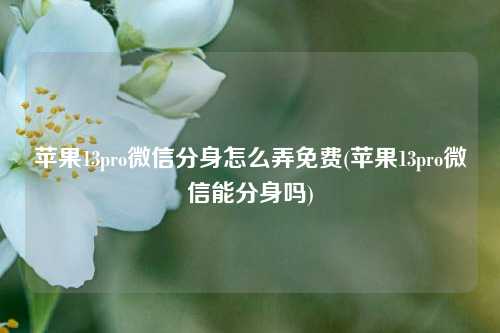 苹果13pro微信分身怎么弄免费(苹果13pro微信能分身吗)