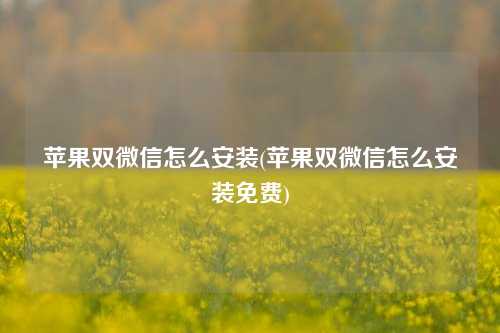 苹果双微信怎么安装(苹果双微信怎么安装免费)