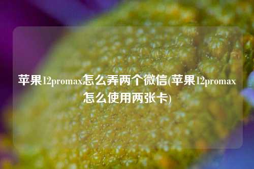 苹果12promax怎么弄两个微信(苹果12promax怎么使用两张卡)