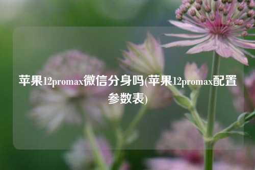 苹果12promax微信分身吗(苹果12promax配置参数表)