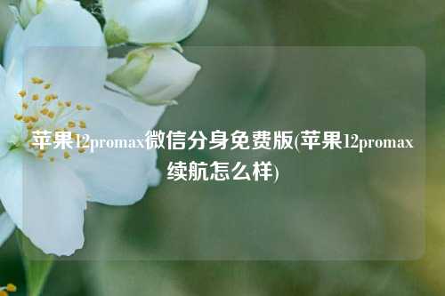 苹果12promax微信分身免费版(苹果12promax续航怎么样)