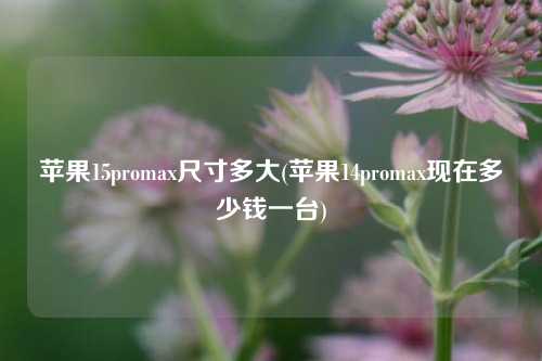 苹果15promax尺寸多大(苹果14promax现在多少钱一台)