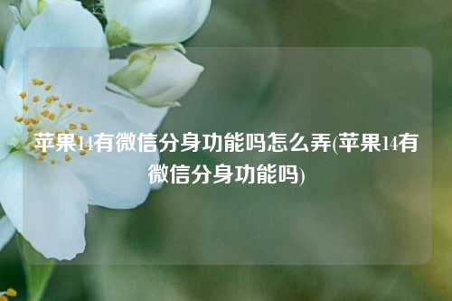 苹果14有微信分身功能吗怎么弄(苹果14有微信分身功能吗)