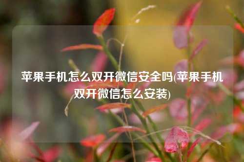 苹果手机怎么双开微信安全吗(苹果手机双开微信怎么安装)