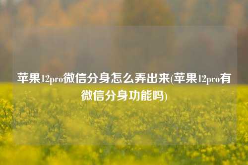 苹果12pro微信分身怎么弄出来(苹果12pro有微信分身功能吗)