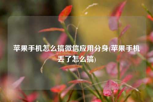 苹果手机怎么搞微信应用分身(苹果手机丢了怎么搞)