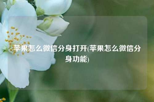 苹果怎么微信分身打开(苹果怎么微信分身功能)