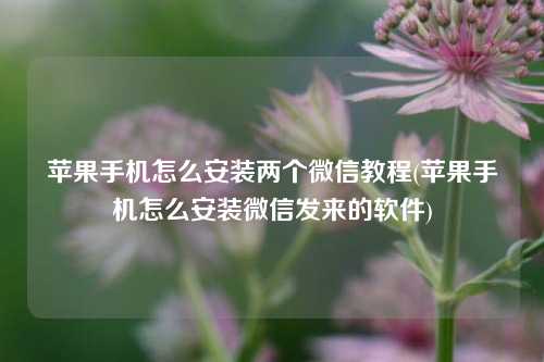 苹果手机怎么安装两个微信教程(苹果手机怎么安装微信发来的软件)