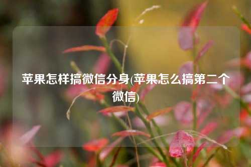 苹果怎样搞微信分身(苹果怎么搞第二个微信)