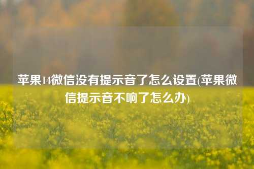 苹果14微信没有提示音了怎么设置(苹果微信提示音不响了怎么办)