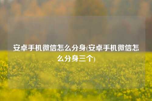 安卓手机微信怎么分身(安卓手机微信怎么分身三个)