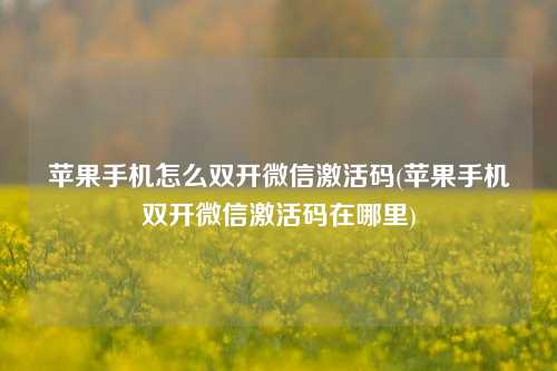 苹果手机怎么双开微信激活码(苹果手机双开微信激活码在哪里)