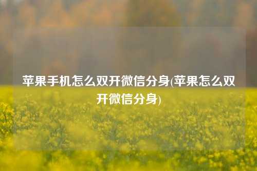 苹果手机怎么双开微信分身(苹果怎么双开微信分身)