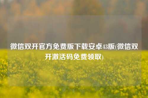 微信双开官方免费版下载安卓43版(微信双开激活码免费领取)