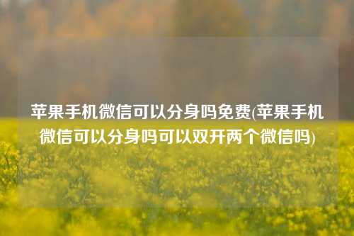 苹果手机微信可以分身吗免费(苹果手机微信可以分身吗可以双开两个微信吗)