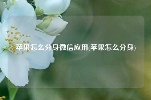 苹果怎么分身微信应用(苹果怎么分身)