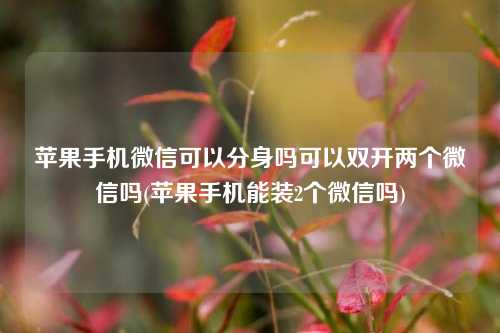 苹果手机微信可以分身吗可以双开两个微信吗(苹果手机能装2个微信吗)