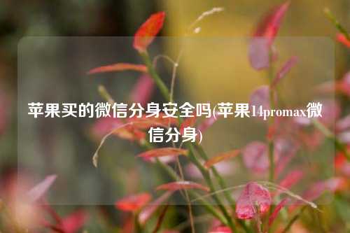 苹果买的微信分身安全吗(苹果14promax微信分身)