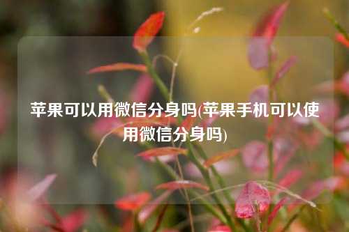 苹果可以用微信分身吗(苹果手机可以使用微信分身吗)