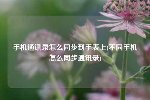 手机通讯录怎么同步到手表上(不同手机怎么同步通讯录)