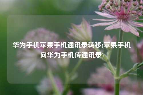 华为手机苹果手机通讯录转移(苹果手机向华为手机传通讯录)