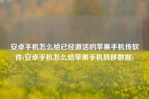 安卓手机怎么给已经激活的苹果手机传软件(安卓手机怎么给苹果手机转移数据)