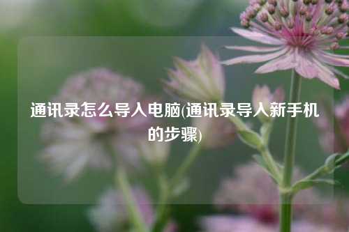 通讯录怎么导入电脑(通讯录导入新手机的步骤)